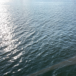 湾奥ブリとはいかず…